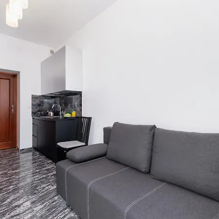 On Krupowki Street With Mountain View By Renters * 자코파네